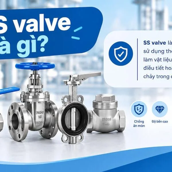 SS Valve là gì? Các loại van inox, 304/316 và cách chọn
