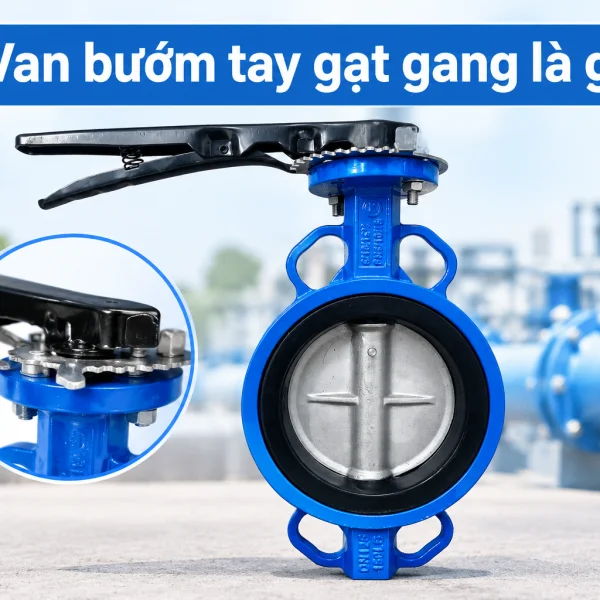 Van bướm tay gạt gang
