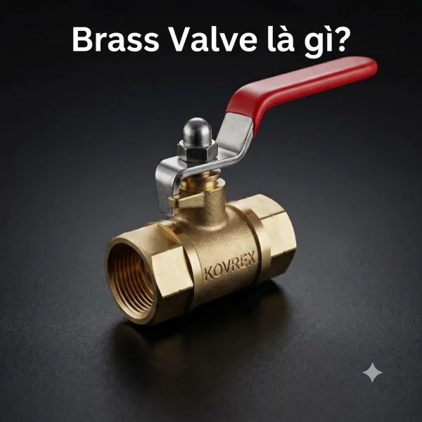 Brass Valve