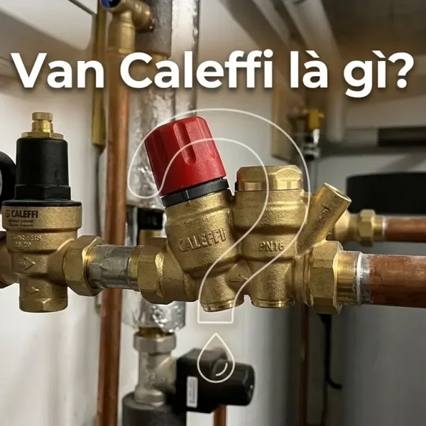 Van Ca1effi