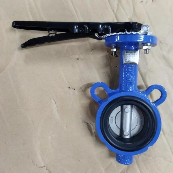 Van bướm inox DN65
