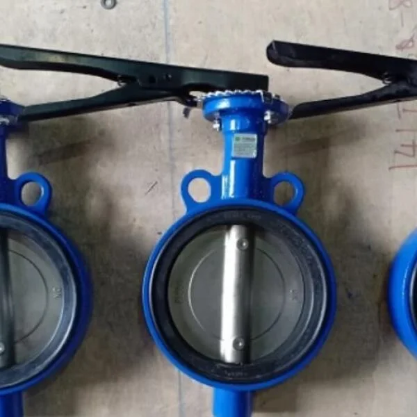 Van bướm thân gang cánh inox
