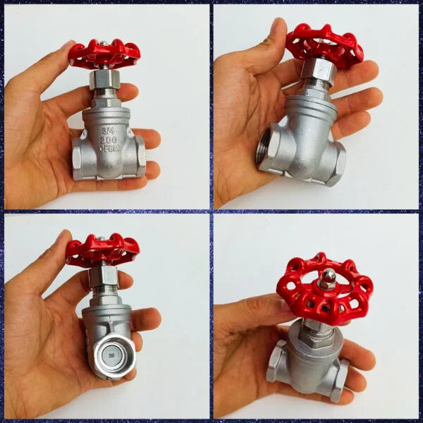 Van inox 304 phi 21