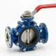 butterfly-valve-1jpg-1