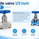 needle-valve-1-2-inch-1jpg-1