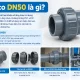 Rắc co DN50