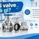 SS Valve là gì? Các loại van inox, 304/316 và cách chọn