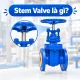 Stem Valve
