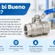 van-bi-bueno