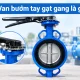 Van bướm tay gạt gang