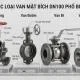van-mat-bich-dn100-2-1