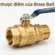 Brass Ball Valves