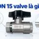 Các loại DN 15 Valve phổ biến trên thị trường hiện nay