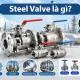 steel-valve-1jpg-1