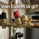 van-caleffi-2