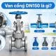 van-cong-dn150-1jpg-1