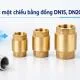 van-nuoc-mot-chieu-bang-dong-1jpg-1