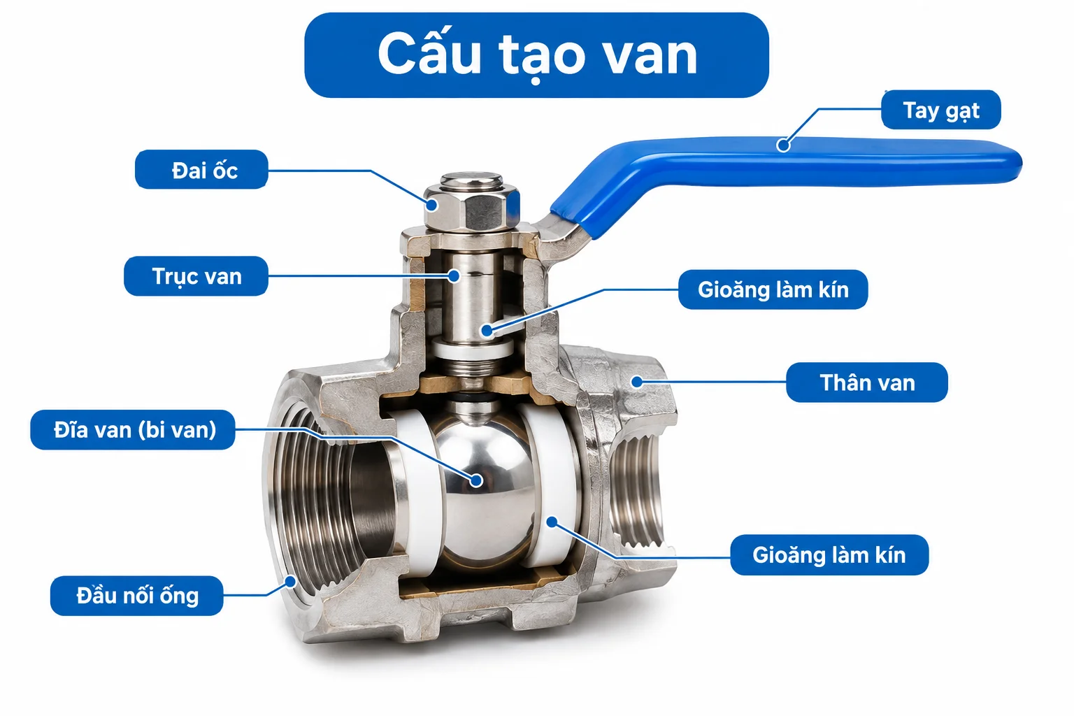 cau-tao-van