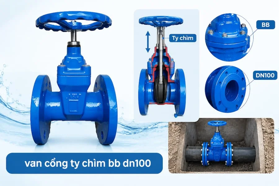 Giới thiệu valve cổng ty chìm bb dn100