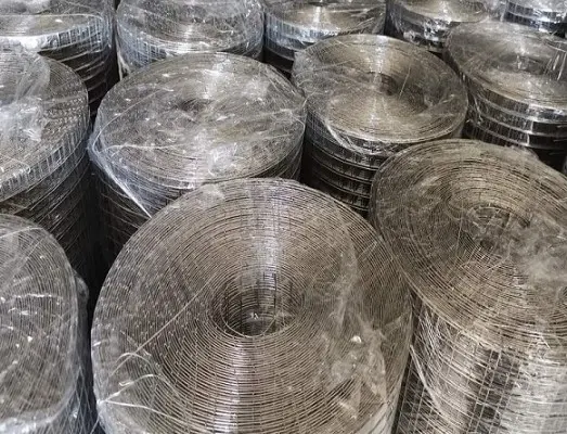 Hình ảnh minh họa (2)