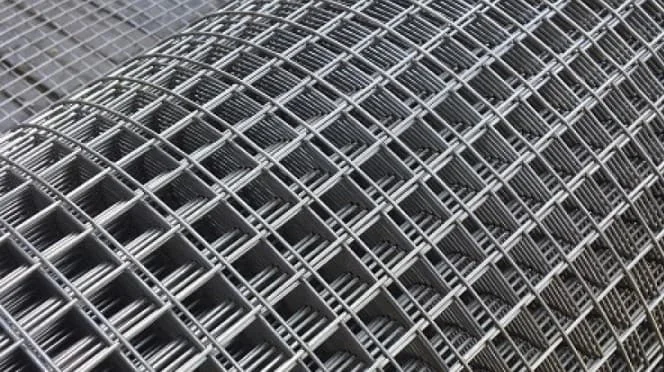 Hình ảnh minh họa (3)