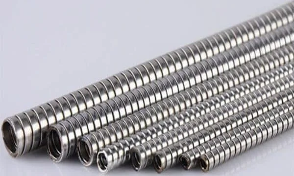 Hình ảnh minh họa (3)