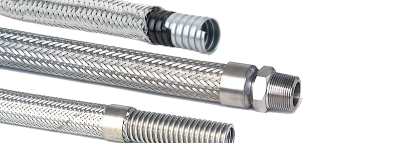 Hình ảnh minh họa (1)